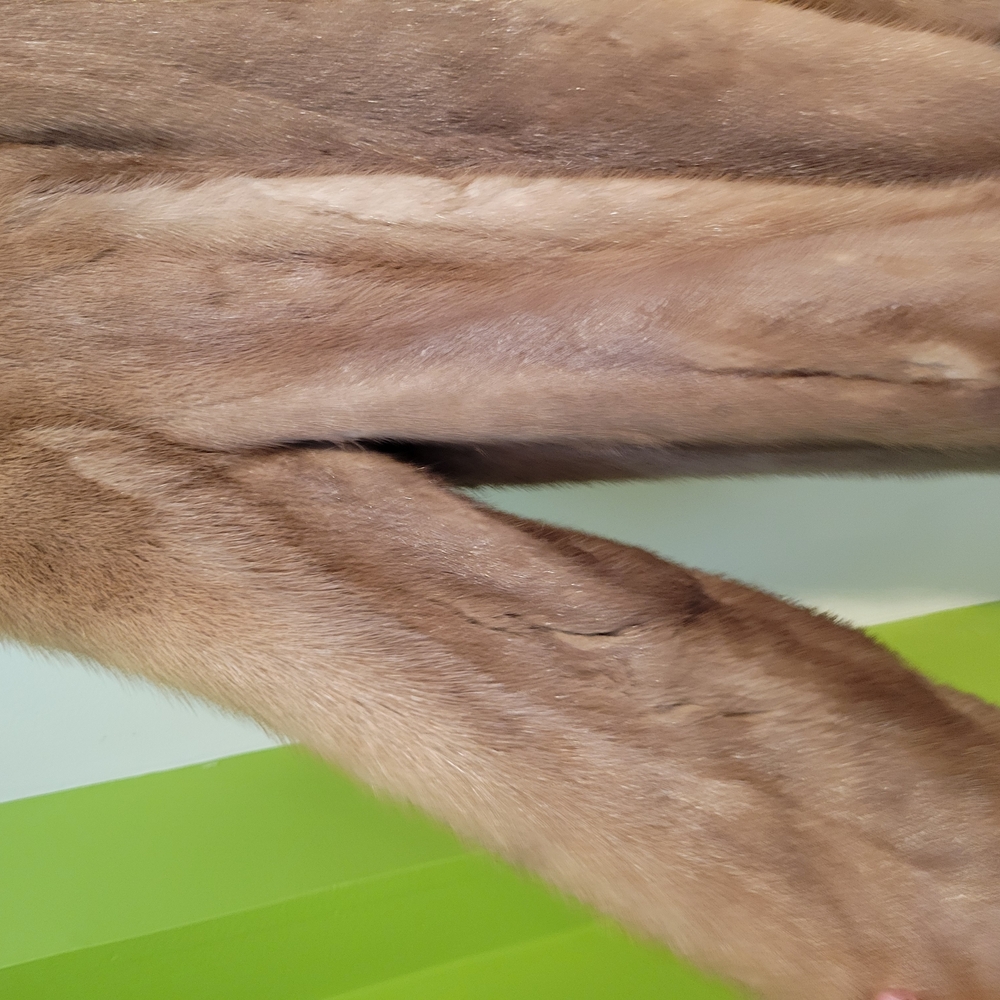 Classic Mink Fur Jacket in Light Brown - Picture 4 of 4